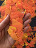 Coco marigold petals by Ay Mujer Shop