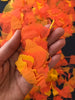 Hand for scale - marigold cempasuchitl petal confetti - by Ay Mujer Shop