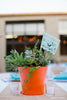 Succulent centerpiece - Mexican paper flags by AyMujerShop